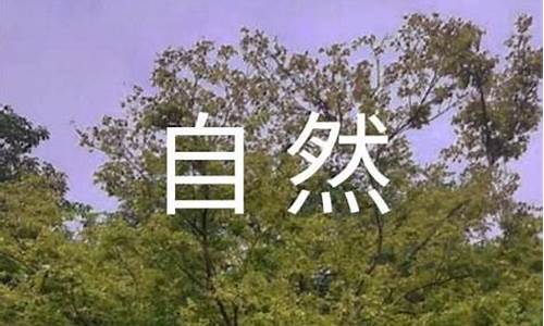 人与自然的观后感_人与自然的观后感100字